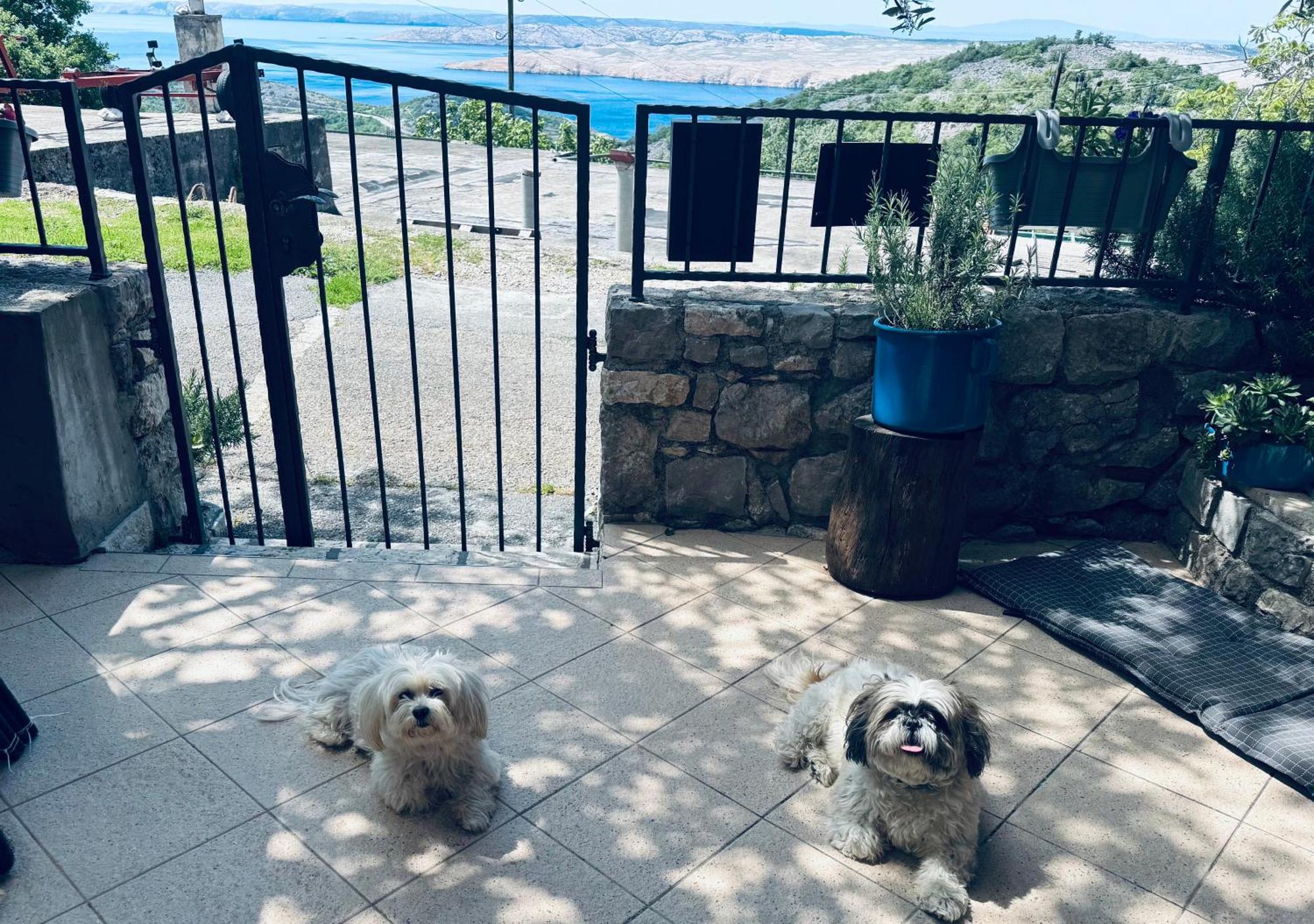 Kuca Za Odmor “Dida” Villa Stinica Exteriör bild